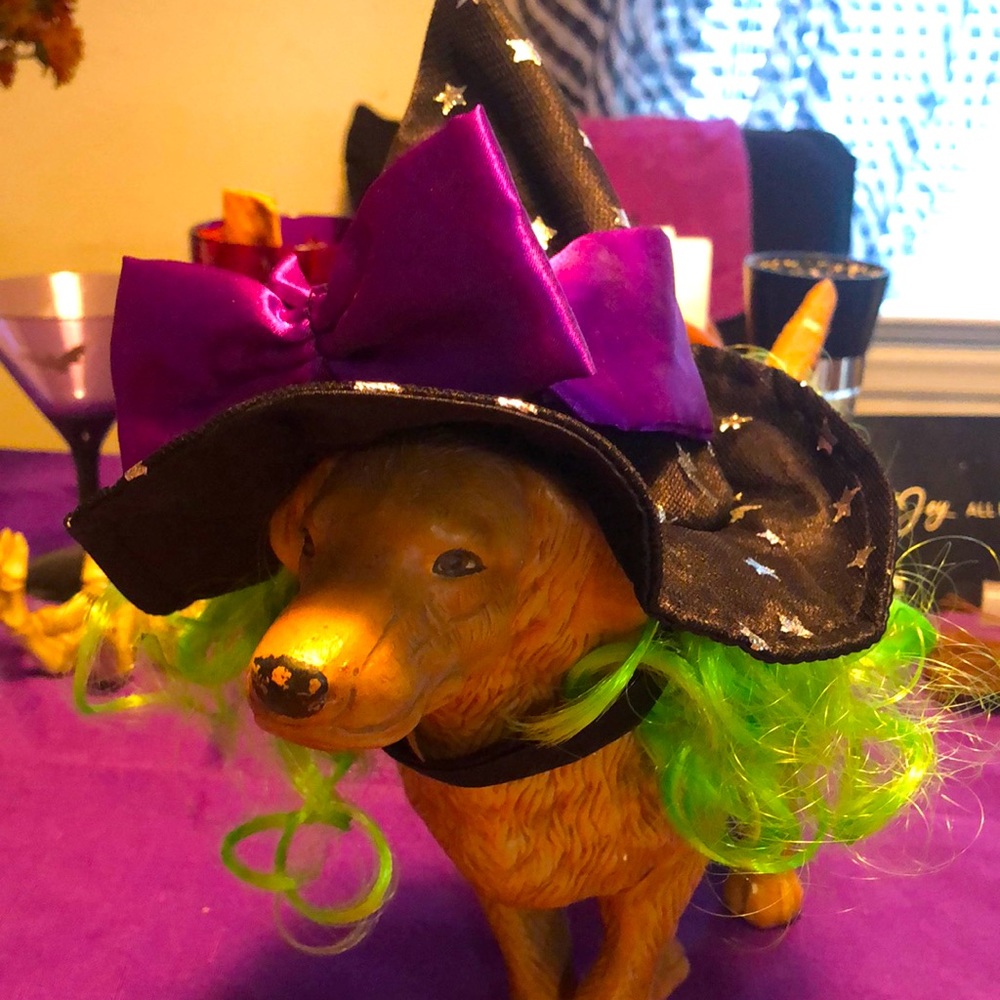 Adorable witch hat with green hair